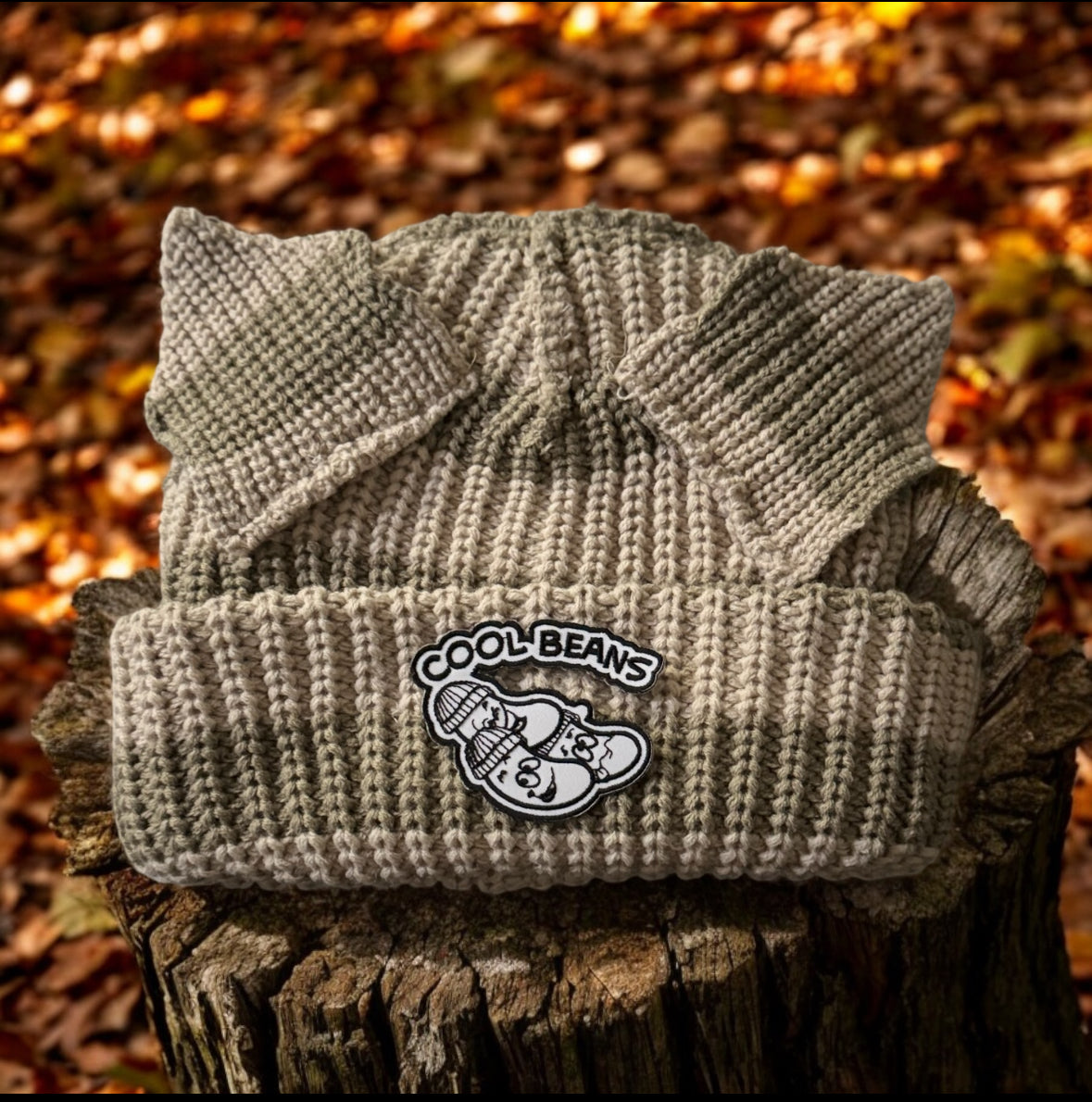 Brown Beanie W/ears
