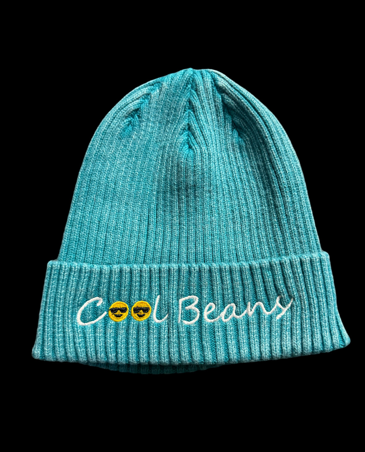 Turquoise Embroidered Beanie