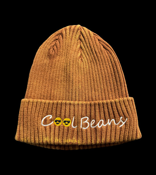 Brown Embroidered Beanie